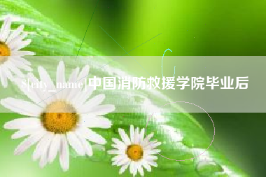 长岭中国消防救援学院毕业后
