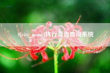 长岭执行公告查询系统