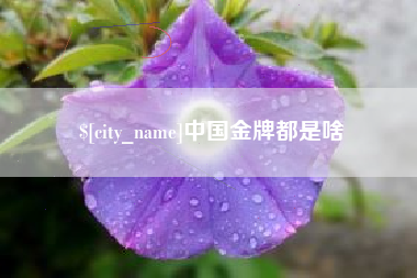 长岭中国金牌都是啥