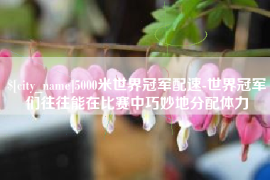 长岭5000米世界冠军配速-世界冠军们往往能在比赛中巧妙地分配体力