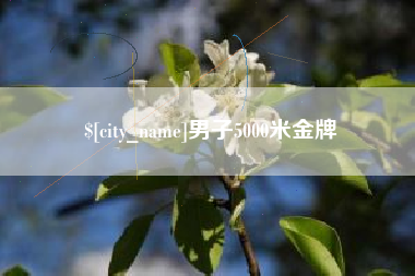 长岭男子5000米金牌