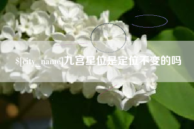 长岭九宫星位是定位不变的吗
