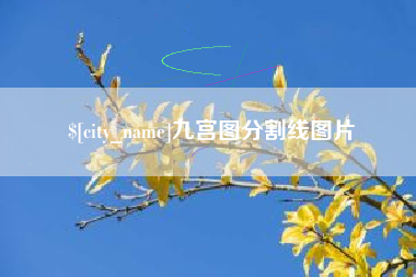 长岭九宫图分割线图片
