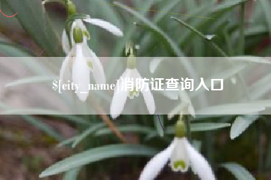 长岭消防证查询入口