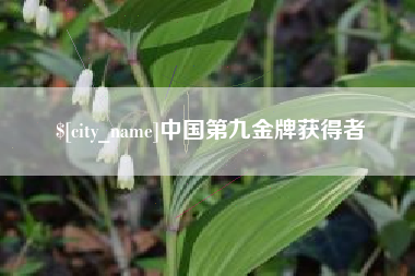 长岭中国第九金牌获得者