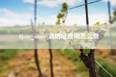长岭消防证查询怎么查