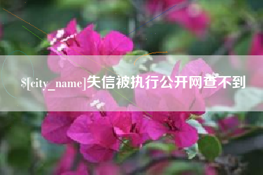 长岭失信被执行公开网查不到