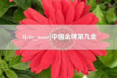 长岭中国金牌第九金