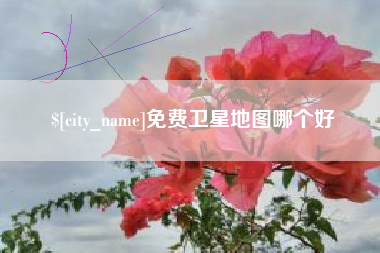 长岭免费卫星地图哪个好