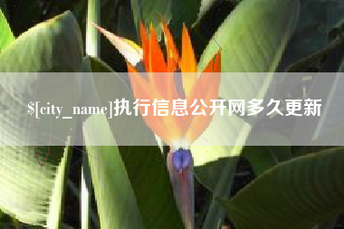 长岭执行信息公开网多久更新