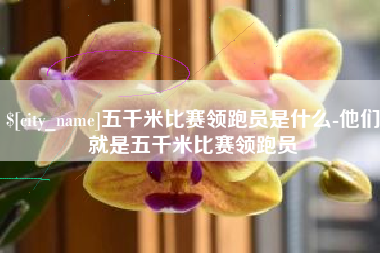 长岭五千米比赛领跑员是什么-他们就是五千米比赛领跑员