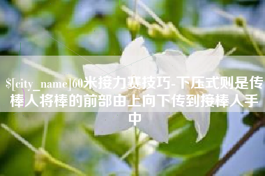 长岭60米接力赛技巧-下压式则是传棒人将棒的前部由上向下传到接棒人手中