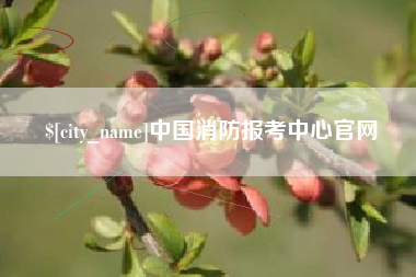 长岭中国消防报考中心官网