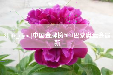 长岭中国金牌榜2024巴黎奥运会最新
