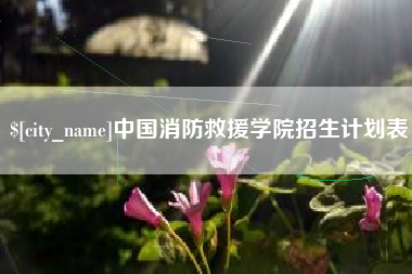 长岭中国消防救援学院招生计划表