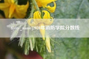 长岭2020年消防学院分数线