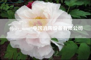 长岭中国消防设备有限公司