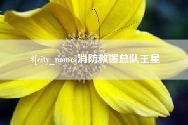 长岭消防救援总队王星