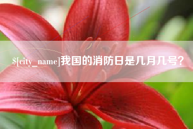 长岭我国的消防日是几月几号？