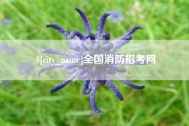 长岭全国消防招考网