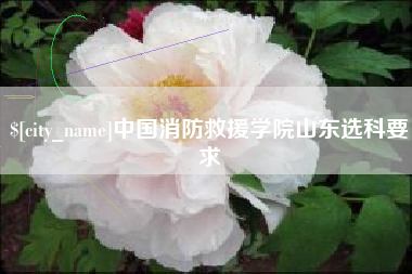 长岭中国消防救援学院山东选科要求