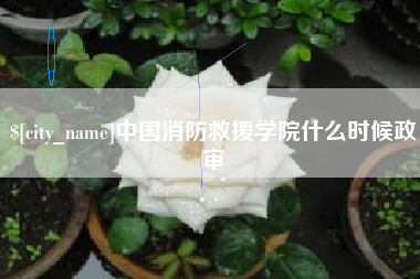 长岭中国消防救援学院什么时候政审