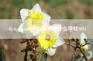 长岭中国金牌是什么项目2024