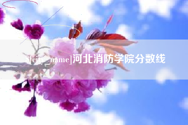 长岭河北消防学院分数线