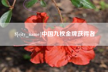 长岭中国九枚金牌获得者