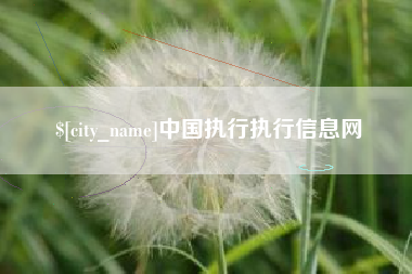 长岭中国执行执行信息网