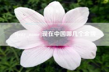 长岭现在中国哪几个金牌