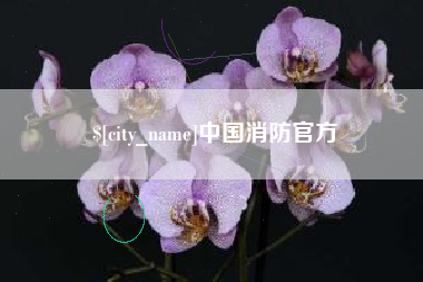长岭中国消防官方