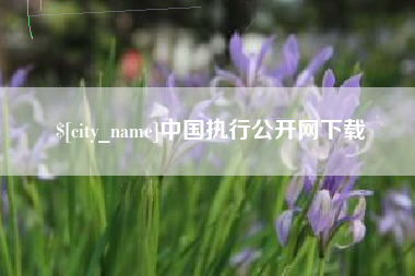 长岭中国执行公开网下载