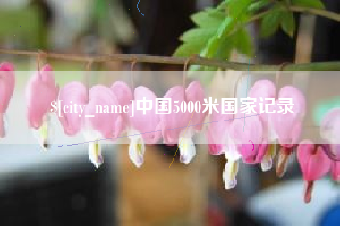 长岭中国5000米国家记录