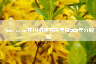 长岭中国消防救援学院2020年分数线