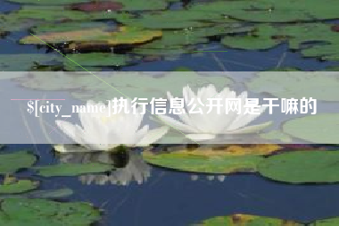长岭执行信息公开网是干嘛的