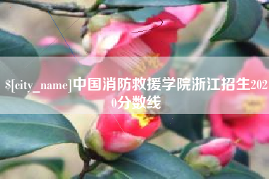 长岭中国消防救援学院浙江招生2020分数线