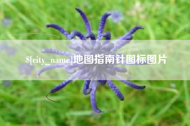 长岭地图指南针图标图片