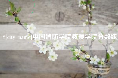 长岭中国消防学院救援学院分数线