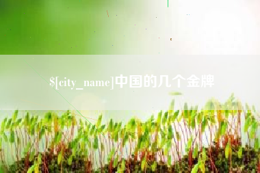 长岭中国的几个金牌