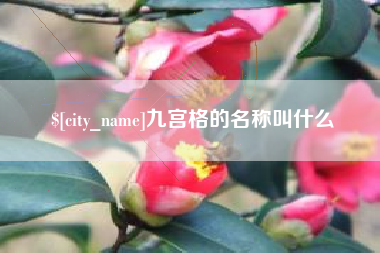 长岭九宫格的名称叫什么