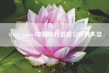 长岭中国执行信息公开网失信