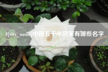 长岭中国五千米冠军有哪些名字