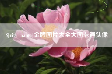 长岭金牌图片大全大图卡通头像