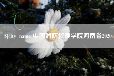 长岭中国消防救援学院河南省2020